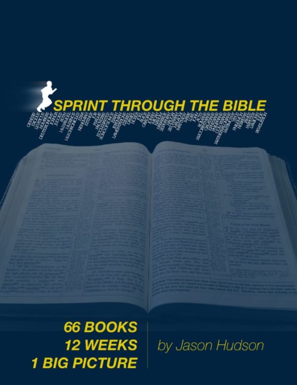 Sprint Through the Bible Blue Cover on digbiblestudy.com